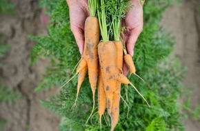 Meine Möhren: Veganuary-Tipp: Warum Möhren unverzichtbar sind