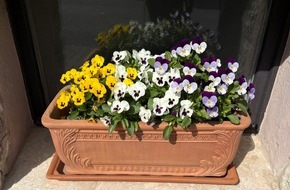 Landespolizeiinspektion Nordhausen: LPI-NDH: Zeugenaufruf: Blumenkasten entwendet - Wer kann Hinweise geben?