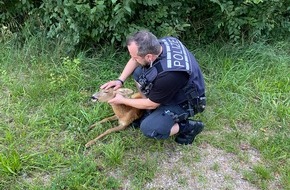 Polizeipräsidium Offenburg: POL-OG: Rheinau, Memprechtshofen - Zwei Mal gerettet