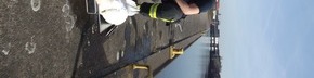 Feuerwehr Dortmund: FW-DO: 17.02.2019 - Tierrettung am Kanal,
Feuerwehr rettet Schwan