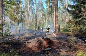 Freiwillige Feuerwehr S&uuml;dheide: FW S&uuml;dheide: 3500m&sup2; Waldboden brennen in Unterl&uuml;&szlig;