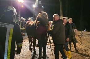 Feuerwehr Essen: FW-E: Pferd steckt im Schlamm fest - Erfolgreiche Tierrettung in Essen-Schuir