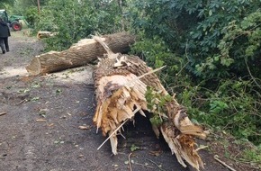 Feuerwehr Landkreis Leer: FW-LK Leer: Ein kurzes Gewitter, Sturmböen, eine Windhose und jede Menge Arbeit für die Feuerwehr