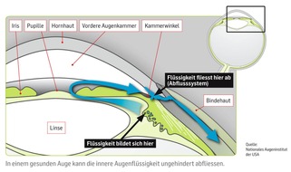 Glaukomgruppe der Schweizerischen Ophthalmologischen Gesellschaft (SOG): Schweizweite Gratis-Augenuntersuchungen im März: Eine Präventionskampagne der Schweizer Augenärzte