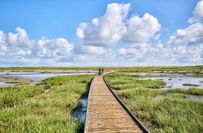 Heinz Sielmann Stiftung: PM Jetzt bewerben: Naturwunderwahl 2025 sucht die schönsten Naturphänomene Deutschlands