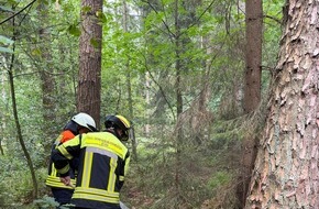 Kreisfeuerwehr Rotenburg (W&uuml;mme): FW-ROW: Waldbrand bei Badenstedt: Rund 30 Einsatzkr&auml;fte vor Ort