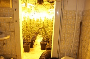 Polizei Homberg: POL-HR: Professionelle Cannabisplantage mit rund 1100 Pflanzen bei Hausdurchsuchung entdeckt - zwei Tatverd&auml;chtige in Untersuchungshaft