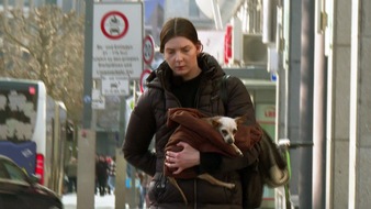 RTLZWEI: RTLZWEI: "Hartes Deutschland - Leben im Brennpunkt" fährt starke Quoten ein