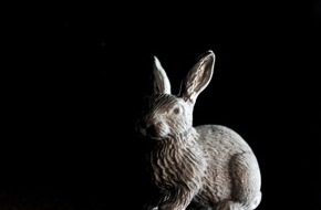 Stadtmuseum Aarau: Frühling im Stadtmuseum: Osterhasen Zinngiessen und Fotokurs 8- bis 12-Jährige