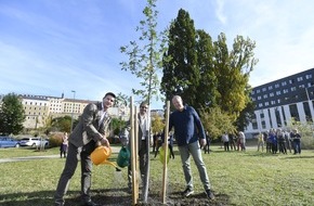 Skoda Auto Deutschland GmbH: Eine Million Bäume gepflanzt: ŠKODA AUTO erreicht Meilenstein mit CSR-Initiative ,Ein Auto, ein Baum‘
