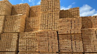 Deutsche Säge- und Holzindustrie Bundesverband e. V. (DeSH): EUDR-Verschiebung für alle alternativlos