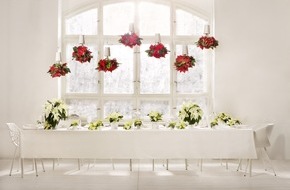 Stars for Europe GbR: Weiß wie Schnee, rot wie Blut, schwarz wie Ebenholz / Überraschende Inszenierung: eine märchenhafte Dinnertafel mit dem Weihnachtsstern (FOTO)