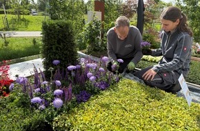 Landesgartenschau Neuss 2026: Der Sommer zieht ein: Friedhofsg&auml;rtner pflanzen Sommerblumen auf der Landesgartenschau Neuss