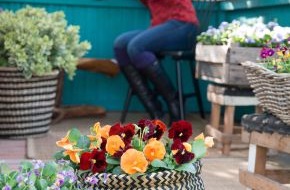 Blumenbüro: Mit Tagetes & Co. die letzten warmen Tage im Draußen-Wohnzimmer genießen / Mit leuchtenden Gartenblühern den Herbst zelebrieren