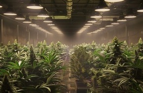 Polizei Bielefeld: POL-BI: Gemeinsame Presseerklärung der Staatsanwaltschaft Bielefeld und der Polizei Bielefeld: Festnahmen im Verfahren aus Bereich der organisierten Kriminalität: Cannabisplantage in Freizeitzentrum