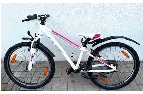 Polizeidirektion Trier: POL-PDTR: Kinderfahrrad aus Vorgarten entwendet