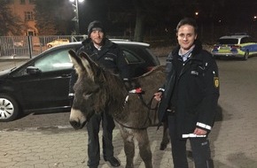 Polizeipräsidium Aalen: POL-AA: Ostalbkreis: Störrischer Esel hält Polizei auf Trab