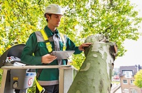 DEKRA SE: Unterschätzte Bruchgefahr: Jeder vierte Baum ist ein Sicherheitsrisiko / DEKRA zieht Fazit nach 85.000 Baumkontrollen