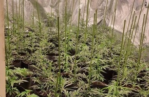 Polizeipräsidium Krefeld: POL-KR: Vier Männer in Untersuchungshaft | Plantage gefunden | Gemeinsame Pressemitteilung von Polizei und Staatsanwaltschaft Krefeld