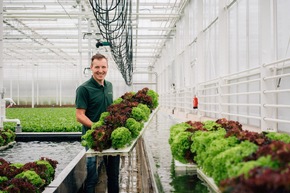 Salat bei Kaufland aus Deutschlands modernstem Gewächshaus