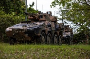 PIZ Ausrüstung, Informationstechnik und Nutzung: Schwerer Waffenträger Infanterie löst Wiesel ab: Beschaffungsvertrag mit Australien unterzeichnet