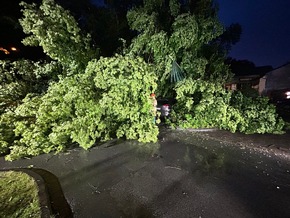 FW Paderborn: Unwetterlage sorgt bei der Feuerwehr Paderborn für ein erhöhtes Einsatzaufkommen