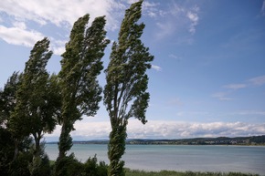 Presse-Feature: Unsere Reichenau