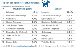 CHECK24 GmbH: Labrador ist die beliebteste Hunderasse 2017