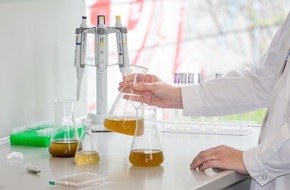 Deutsche Bundesstiftung Umwelt (DBU): DBU: Ohne Tiernutzung: Antikörper aus Algen für Schwangerschaftstests