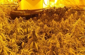 Kreispolizeibehörde Märkischer Kreis: POL-MK: Professionelle Cannabis-Plantage ausgehoben