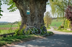 Stadt Einbeck: LiteRADtour auf zwei Rädern in Einbeck