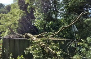 Feuerwehr Weinheim: FW Weinheim: Baum st&uuml;rzt teilweise auf H&uuml;tte und blckierte den Weg