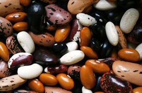 Bund f&uuml;r Umwelt und Naturschutz Deutschland e.V. (BUND): ++ Erbse, Bohne, Lupine &ndash; echte Allesk&ouml;nner! Zum internationalen Tag der H&uuml;lsenfr&uuml;chte betont der BUND die Bedeutung der Leguminosen ++