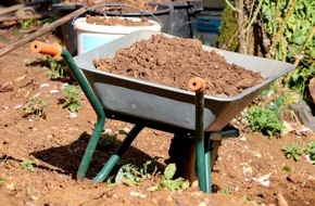 BUND: ++ Ökotipp: Herbstzeit ist Pflanzzeit: So pflanzen Sie jetzt Bäume und Sträucher im Garten ++