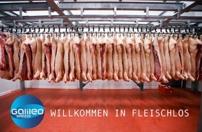 ProSieben: Radikales Experiment: Das ProSieben-Wissensmagazin "Galileo" macht 200 Bewohner einer Kleinstadt zu Vegetariern