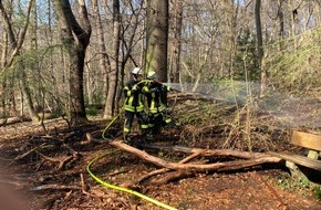 Freiwillige Feuerwehr Königswinter: FW Königswinter: 50 Quadratmeter Unterholz brennen im Siebengebirge - Vorbildliche Alarmierung