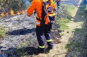 Freiwillige Feuerwehr Celle: FW Celle: Drei Vegetationsbrände innerhalb von zwei Stunden in Celle!