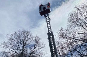 Feuerwehr Helmstedt: FW Helmstedt: Baum droht auf Haus zu fallen