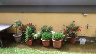 Polizeidirektion Koblenz: POL-PDKO: Gestohlene Blumen aufgefunden, Eigentümer werden gesucht