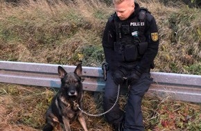 Polizeipräsidium Karlsruhe: POL-KA: (KA) Karlsruhe - Schäferhund beschlagnahmt Streifenwagen