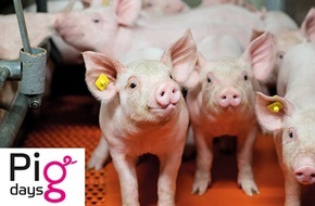 AGRAVIS Raiffeisen AG: Agravis Raiffeisen AG: Online-Seminare Pigdays starten