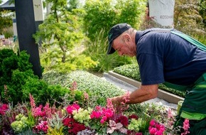 Gesellschaft deutscher Friedhofsgärtner mbH: GdF Brancheninfo September/ Oktober