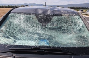 Polizeidirektion Landau: POL-PDLD: BAB A65, Fahrtrichtung Ludwigshafen, Höhe AS Haßloch
Verkehrsunfall infolge nicht ausreichend gesicherter Ladung