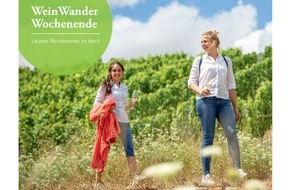 Deutsches Weininstitut GmbH: Weingenuss und Wanderlust am langen WeinWanderWochenende