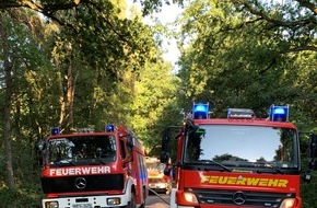 Freiwillige Feuerwehr Hünxe: FW Hünxe: Erneuter Waldbrand