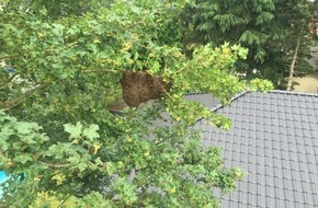 Freiwillige Feuerwehr Werne: FW-WRN: TH_Tier: Bienenschwarm entwischt