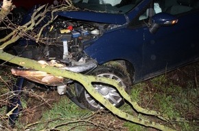 Polizei Minden-Lübbecke: POL-MI: Reh ausgewichen - Auto kollidiert mit Baum