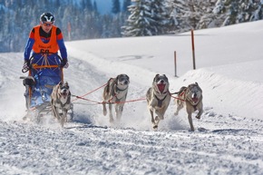 Pressetext: 110 Teams, mehr als 1.000 Tiere und ein Heimsieg bei Schlittenhunde-Weltcup in Unterjoch