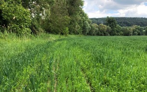 Global Nature Fund: Jeder Betrieb kann profitieren: Maßnahmenblätter für Biodiversität in der Landwirtschaft