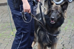 Hauptzollamt Bremen: HZA-HB: Zollhündin Nanny verhindert Drogenschmuggel / Über 50 Gramm Marihuana bei Kontrolle am Bahnhof Leer sichergestellt